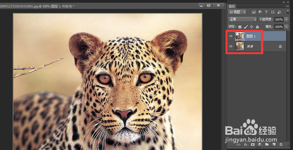 复杂背景下ps如何快速抠图换背景？蒙版快速抠图