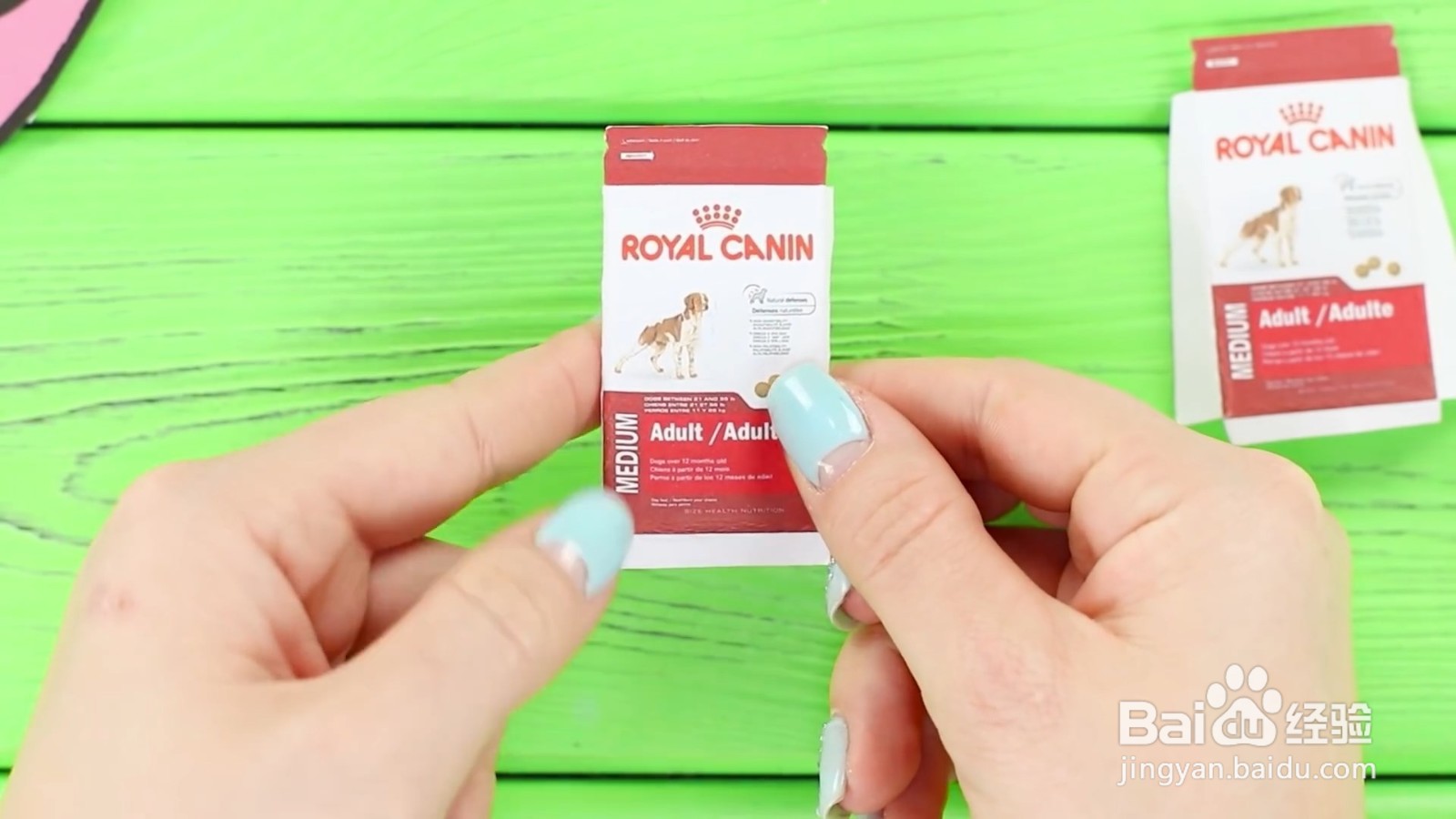 如何给宠物狗狗diy美味的食物？