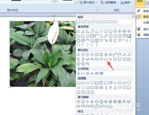在PPT中如何将图片裁剪为各种形状