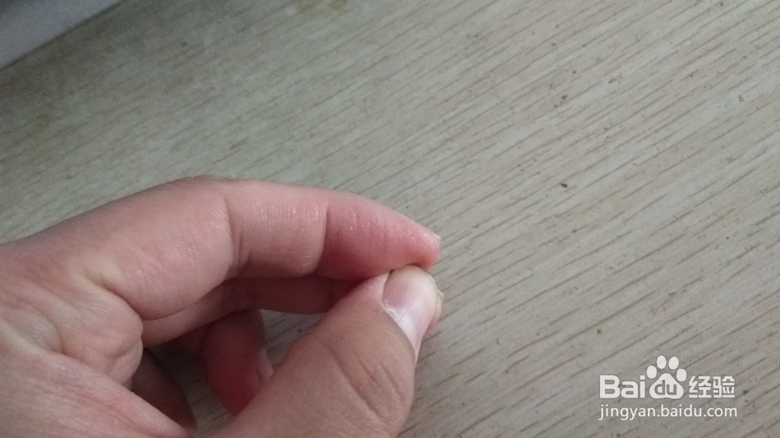 如何用一个订书钉做简易的中性笔的支架