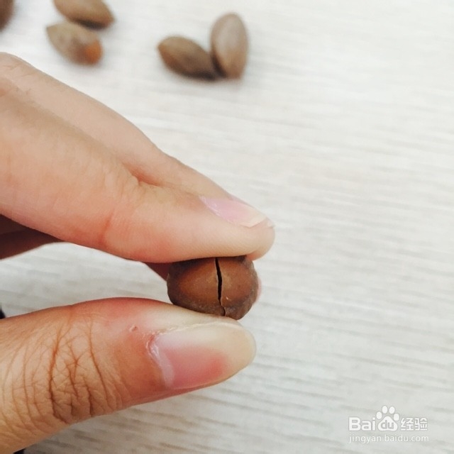 如何巧妙轻松地剥炒香榧?