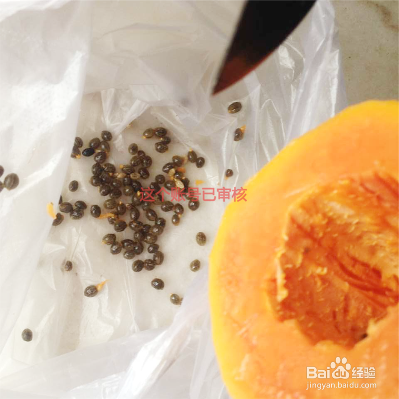 鲜榨木瓜牛奶汁