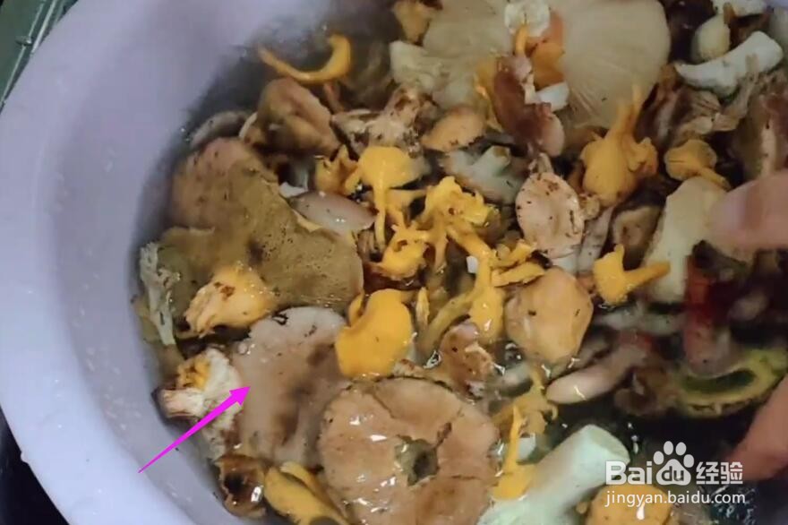 野生菌怎样放冷冻保存#校园分享#