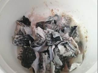 家常菜:凉拌鱼皮