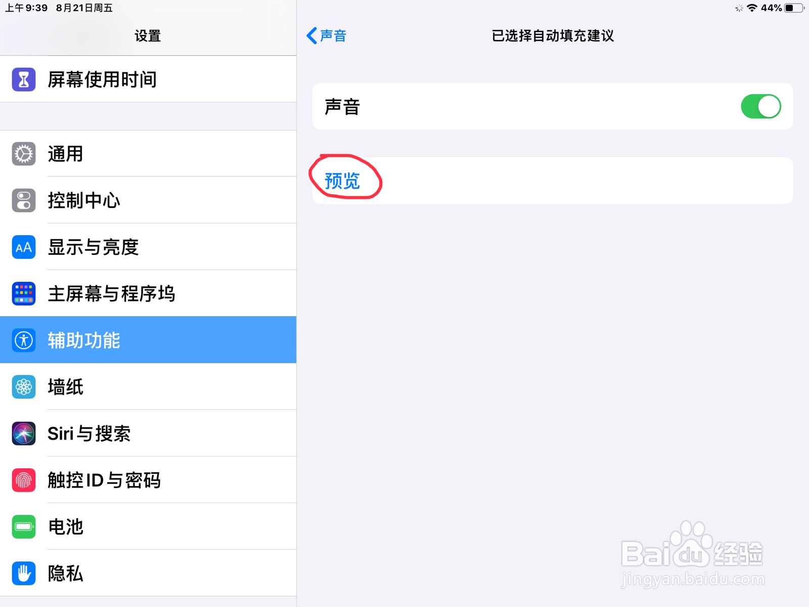 iPad怎么在旁白设置已选择自动填充建议的预览