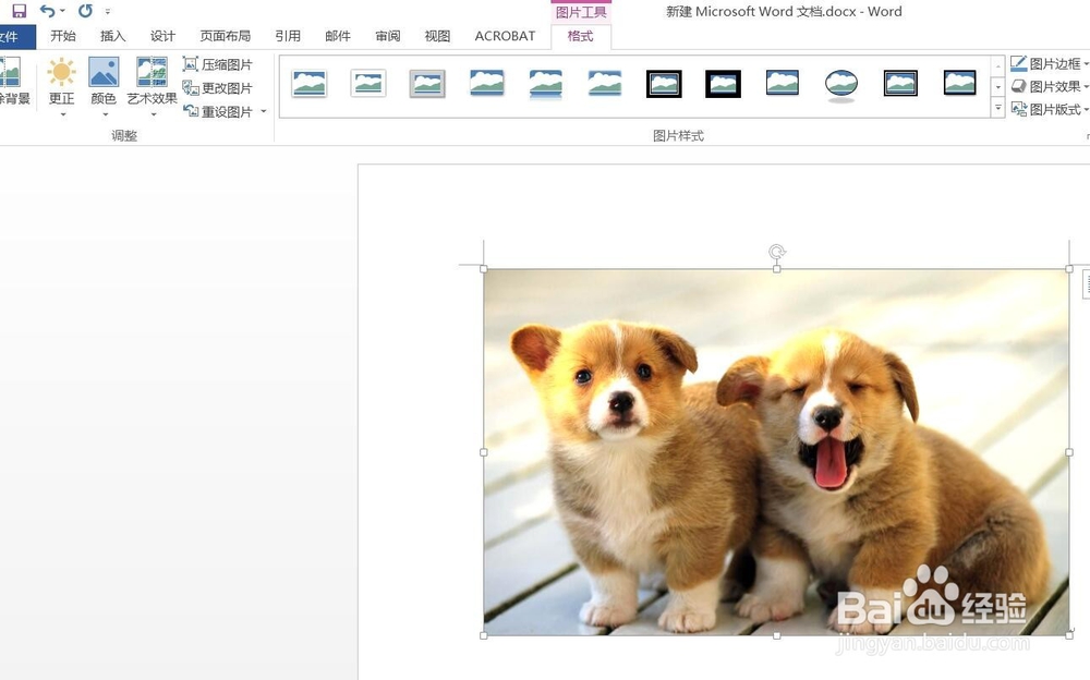 Word2016怎样调整插入图片的亮度