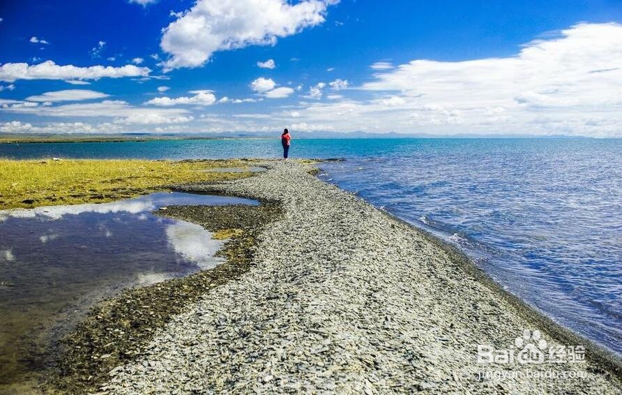 公司员工过生日送什么礼物