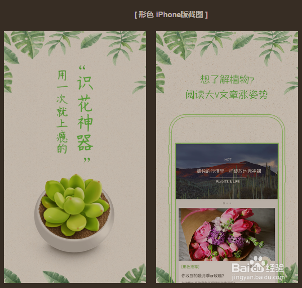 有没有识别植物的APP软件