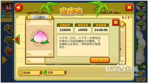 《宠物宝贝》详细攻略分享