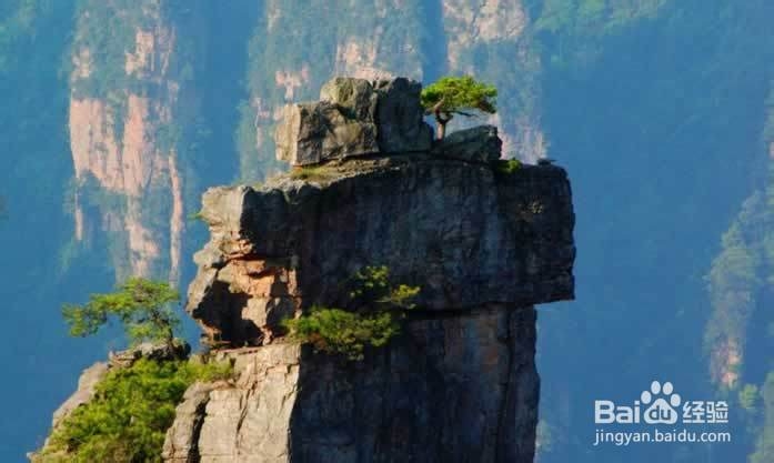 张家界住宿预订