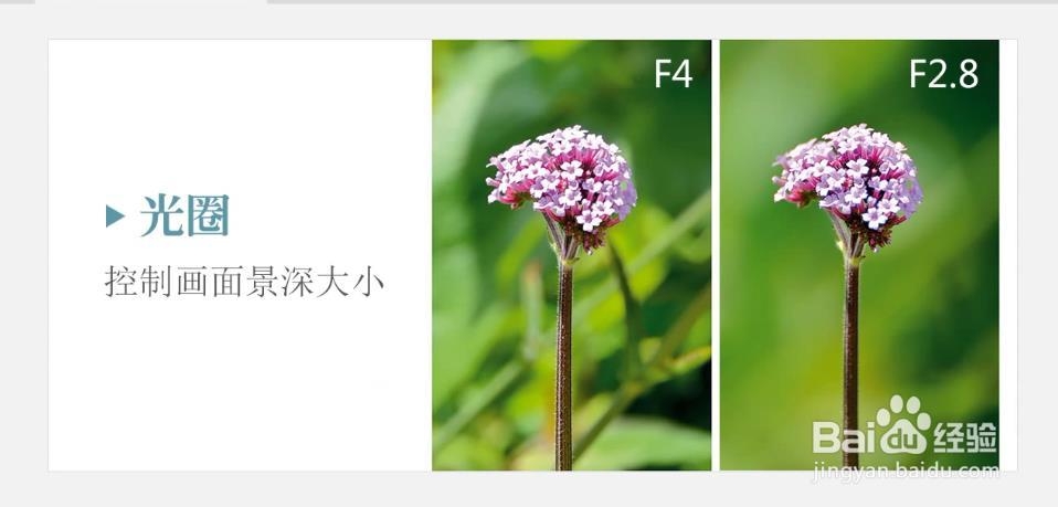 如何正确使用单反相机拍摄优质画面?