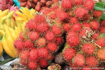 红毛丹怎样吃 孕妇吃红毛丹的好处