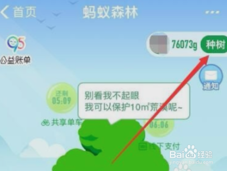 支付宝怎么获得环保证书