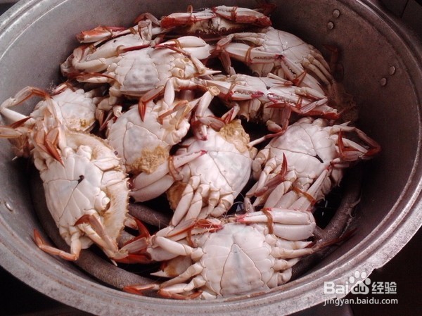 清蒸海蟹的做法