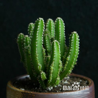 万重山变软补救方法