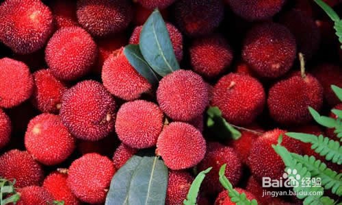 吞了杨梅核怎么办