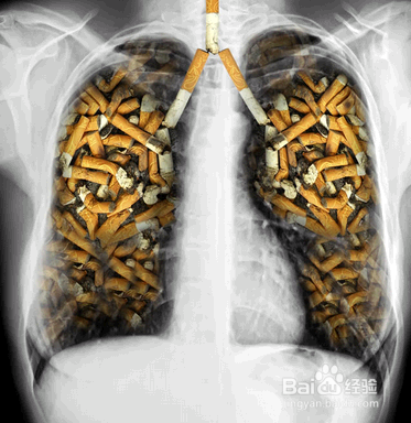 怎么吸烟能减少对身体的危害？