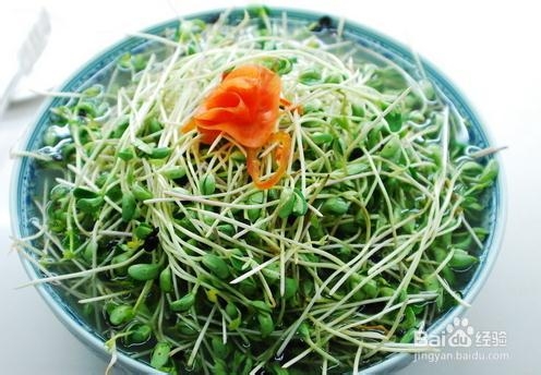 脂肪肝吃什么最好