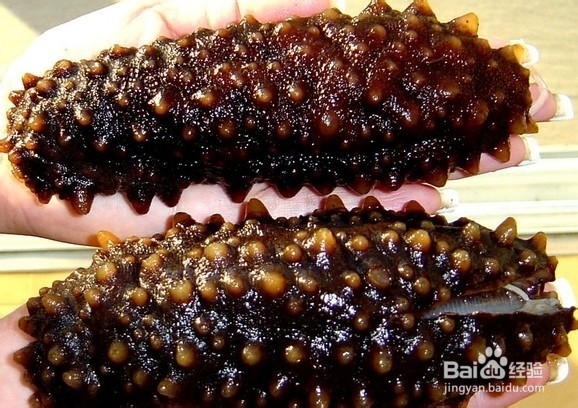 怎样吃海参:大葱烧海参