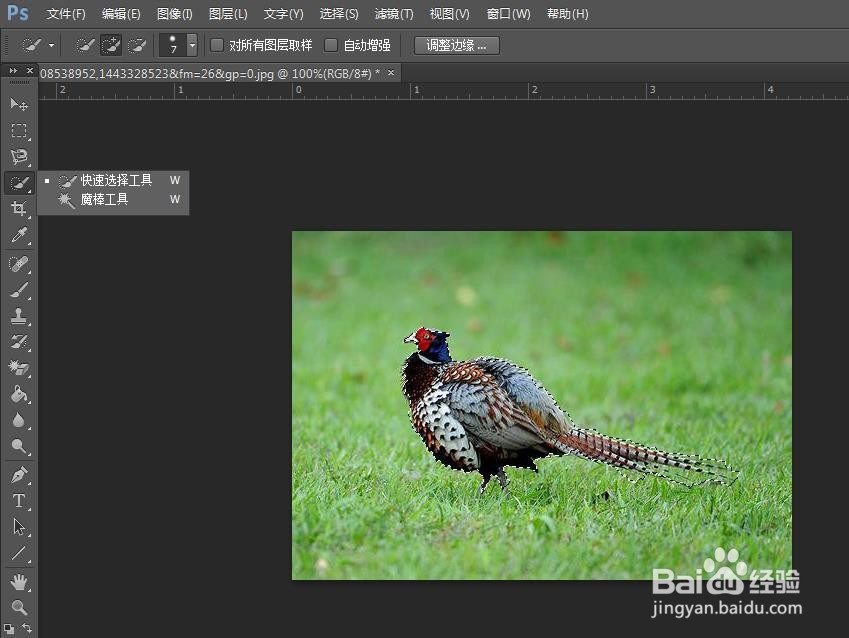 PS的铜板雕刻效果