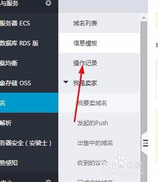 如何查看域名操作记录教程