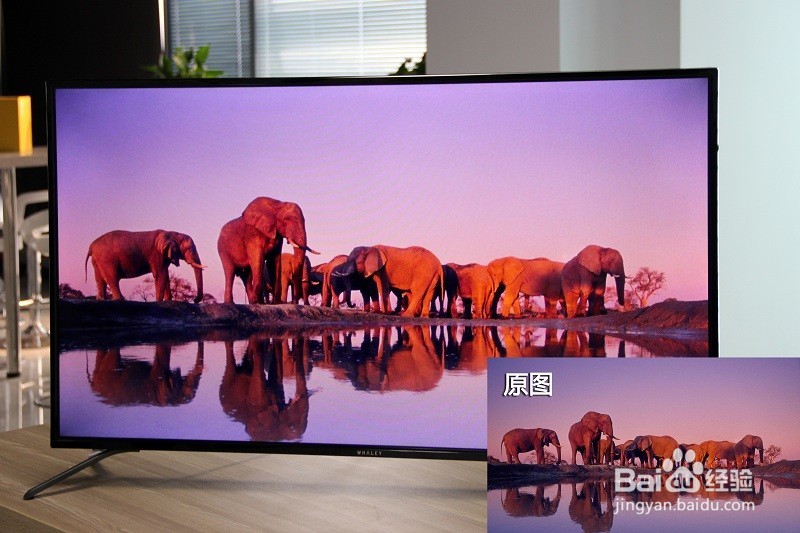 一张图看懂微鲸电视D系列43D新品电视