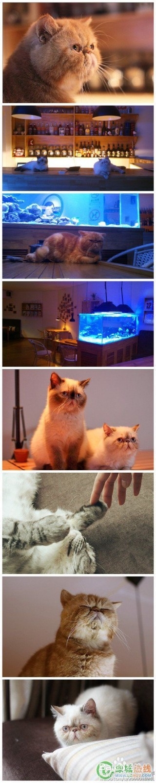 各个城市文艺清新的小店！