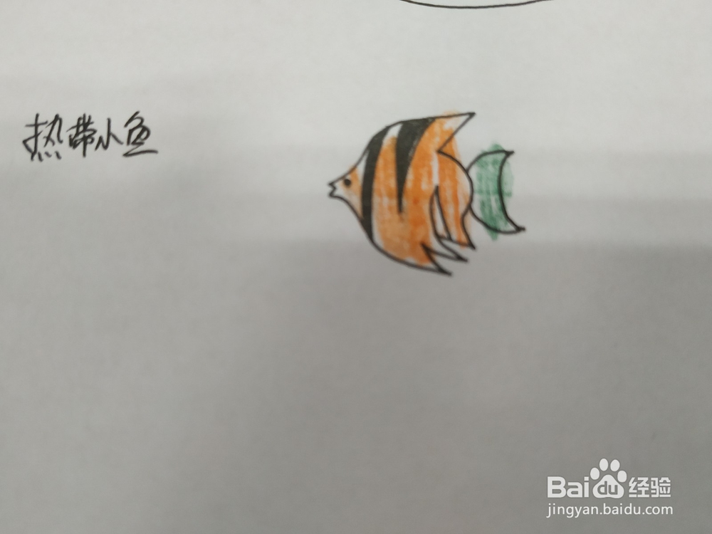 热带小鱼简笔画怎么画，怎么画热带鱼简笔画