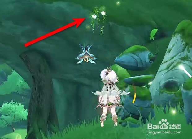 原神劫波莲速刷采集路线大全