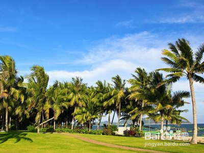 海南过冬的首选是哪里？