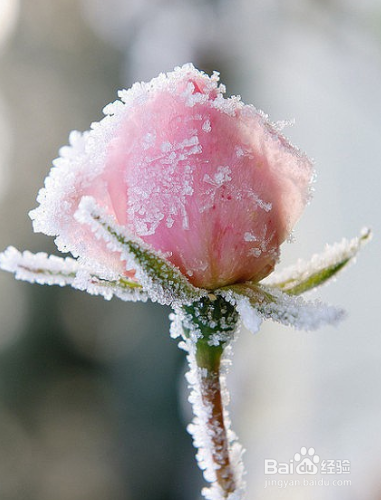 怎么向男人告白