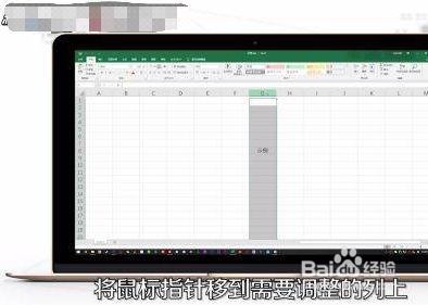 怎么调整表格的行高和列宽