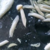 怎么做美味的鸡蛋鲜菇汤