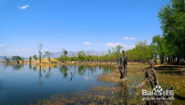 大理环海游玩有哪些地方值得停车拍摄美景的