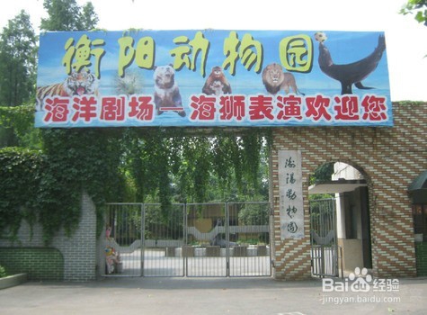 衡阳景点一日游攻略