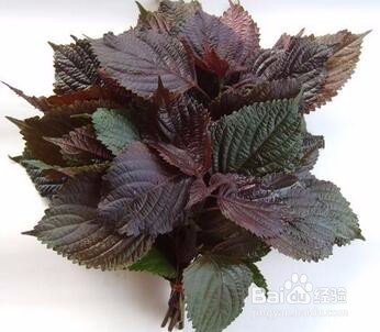 孕妇感冒了怎么办?治孕妇感冒实用妙招