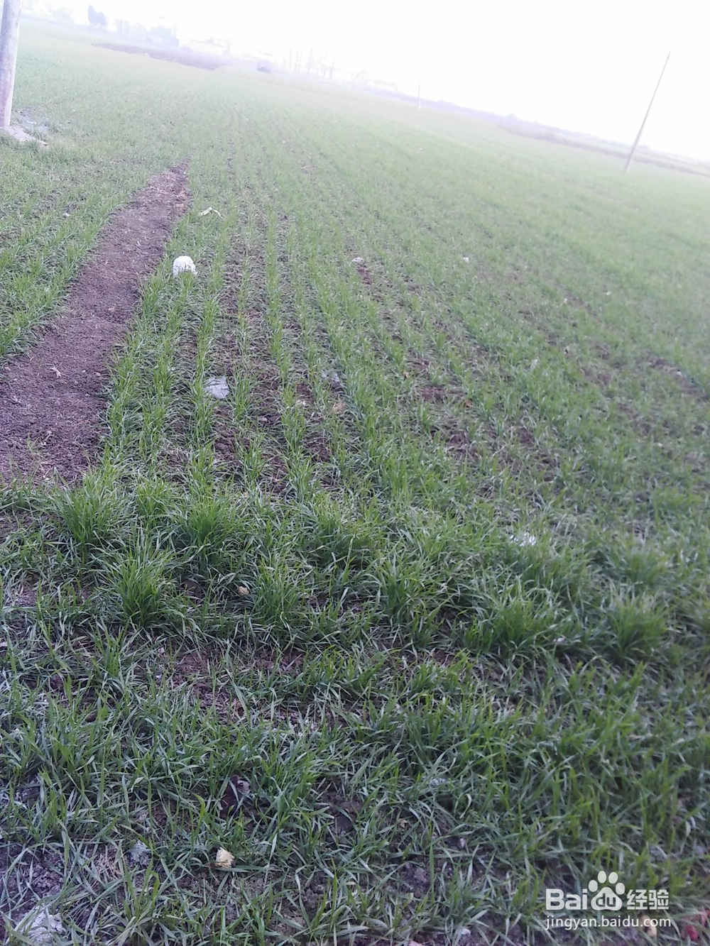 怎么样治疗焦虑精神病