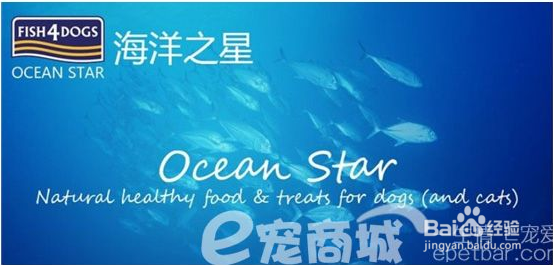 狗粮的分类？如何正确判断狗粮的好坏？