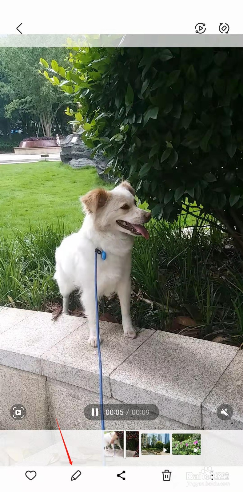 三星手机怎样调整视频的亮度