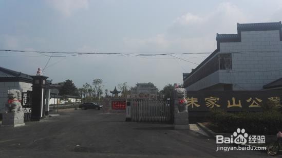 什么样的墓地不能选择呢