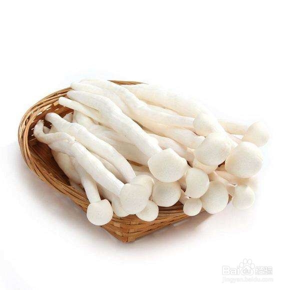 海鲜菇的挑选和保存方法
