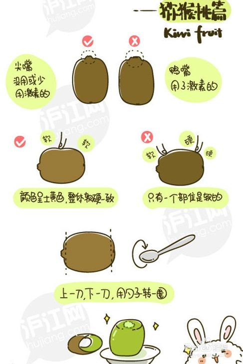 水果的正确吃法