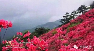 2014高考完去哪儿旅游