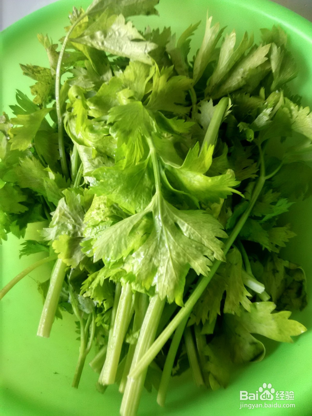 土豆片炒芹菜段