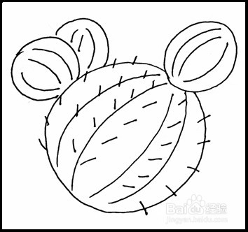 怎样画简笔画（花卉）：[5]仙人球
