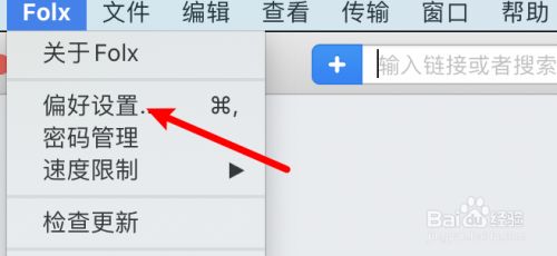 下载工具Folx怎么设置不删除下载过的种子？