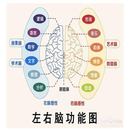 记忆力提升美食宝典