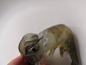 教你做陈皮糖醋烤大虾