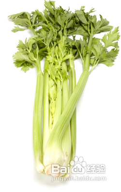 排水消脂食物吃出美腿