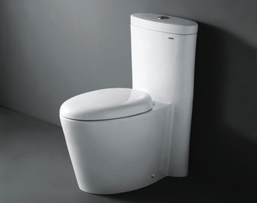 怎样选择座便器